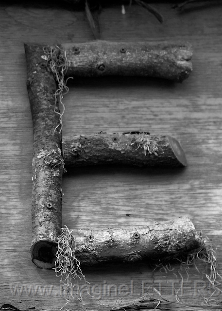 Wall_Art_Alphabet_Photography_Art_ 527.jpg